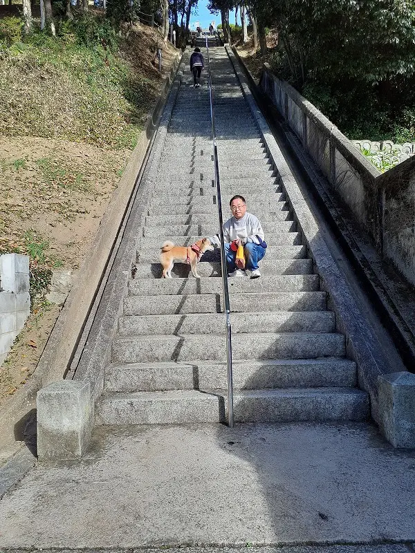 登れるかな～。長い階段を見て尻込み。 | 姫路市・加古川市周辺でおしゃれな注文住宅を建てるならヤマヒロ