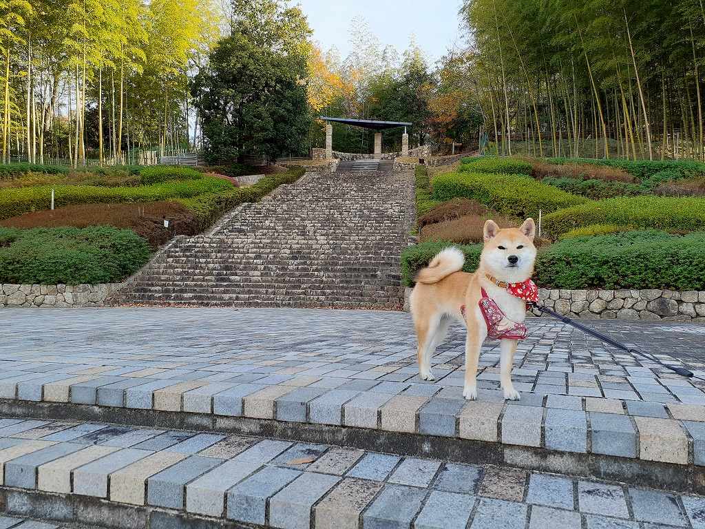 姫路にある散歩コース 続編 ヤマヒロ