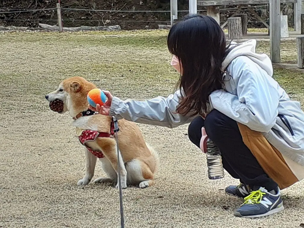 ゆめさきの森公園で散歩三昧 | 姫路市・加古川市周辺で注文住宅を