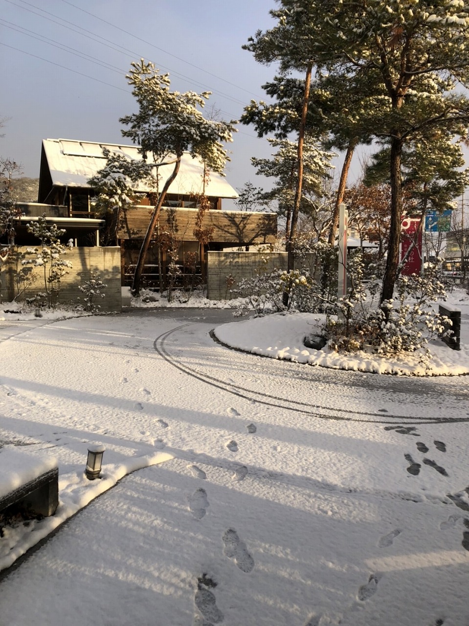 大雪の日は朝から雪かきが大変だけど暖かい部屋から眺める雪景色は乙