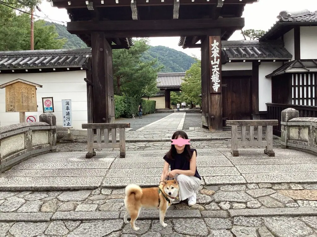 竹林 ペット 宿 京都