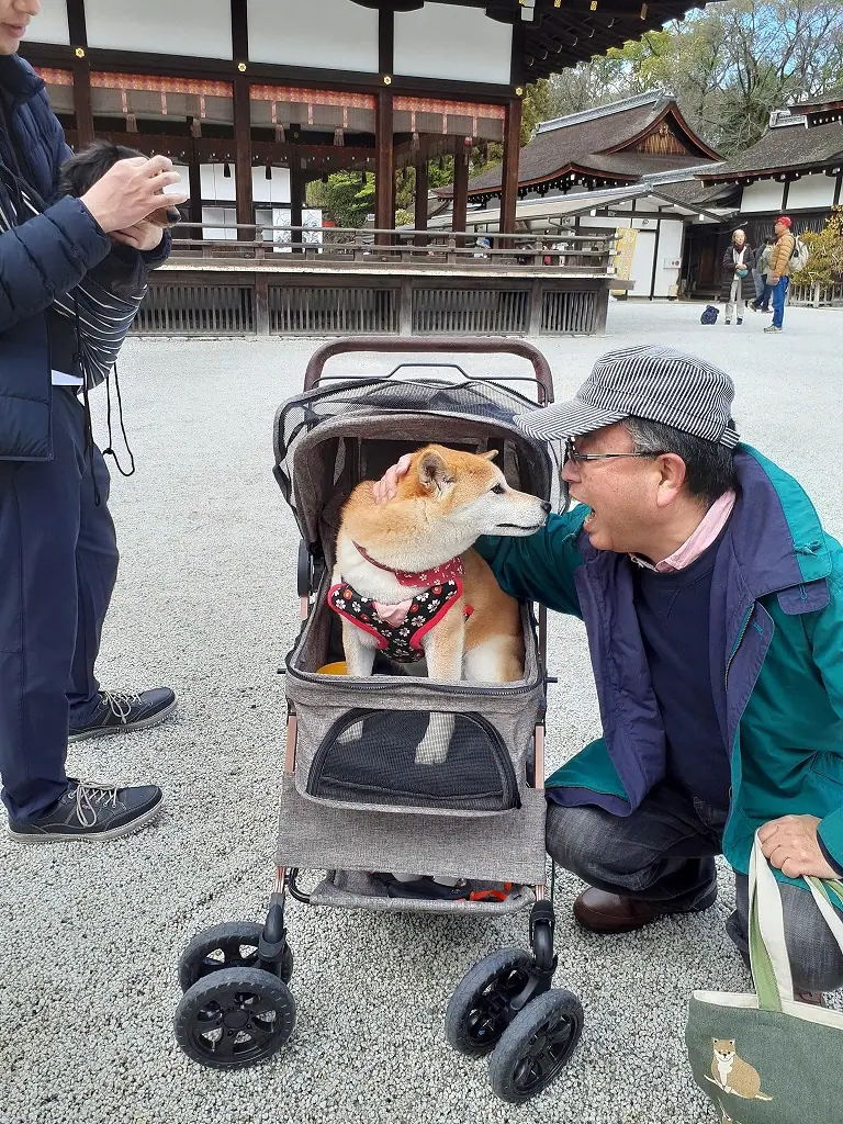 京都で犬連れOKの神社巡り ～下鴨神社編～ | 姫路市・加古川市周辺でおしゃれな注文住宅を建てるならヤマヒロ