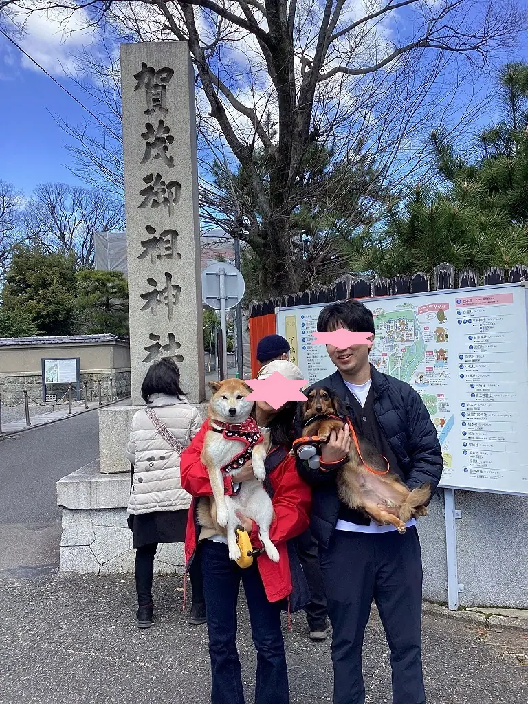 京都で犬連れOKの神社巡り ～下鴨神社編～ | 姫路市・加古川市周辺でおしゃれな注文住宅を建てるならヤマヒロ