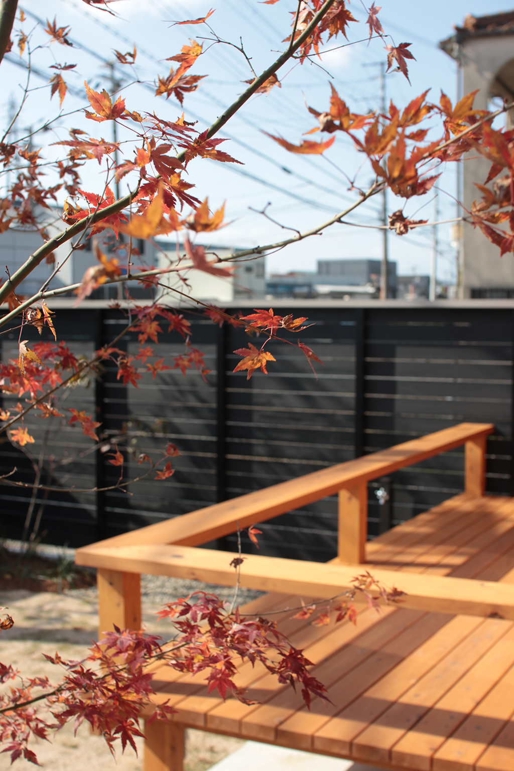 姫路市の木の家 紅葉越しにウッドデッキをみる