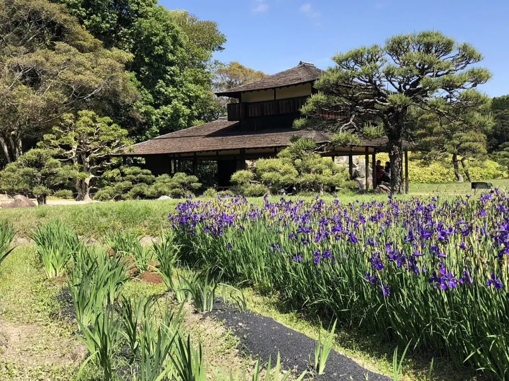 岡山建物探訪 後楽園流店 | 姫路市・加古川市周辺でおしゃれな注文住宅を建てるならヤマヒロ