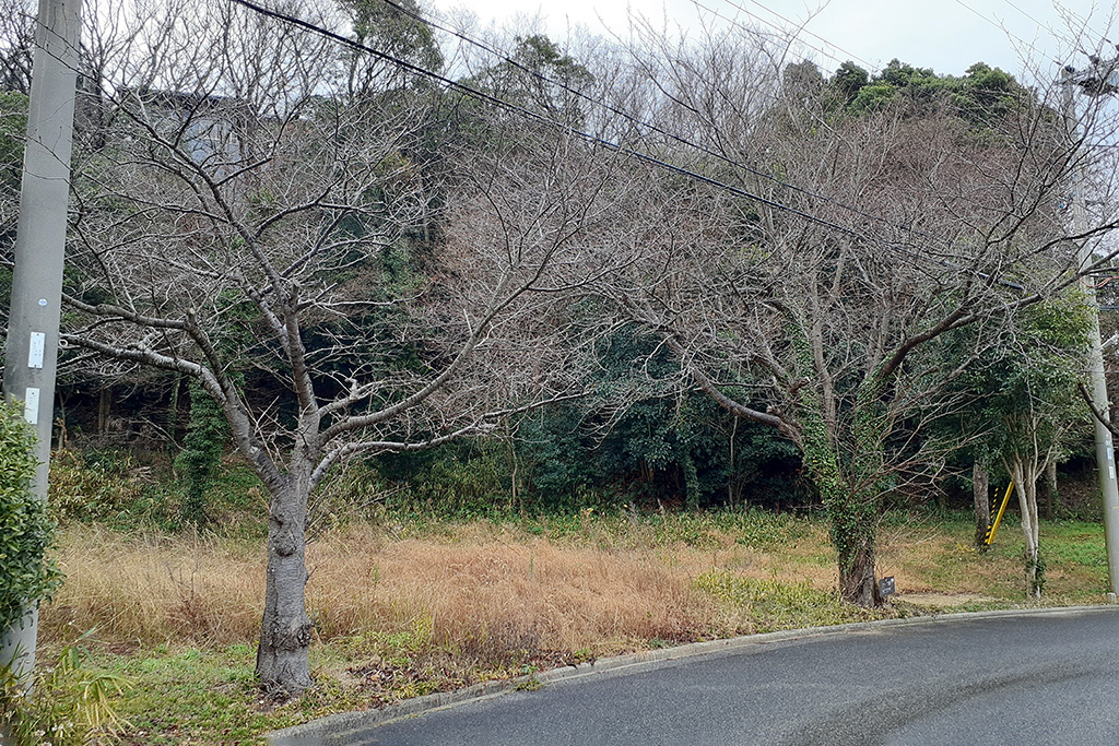 淡路市の木の家　計画地