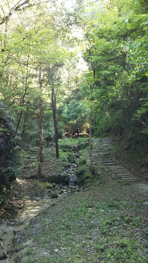 山林を歩く-13 足尾滝 | 姫路市・加古川市周辺でおしゃれな注文住宅を建てるならヤマヒロ